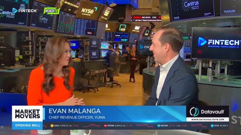 Decentralized Intelligence: Bridging the Gap Between AI and Crypto